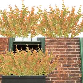 仿真植物塑料草仿真尤加利 植物墙盆栽装饰秋色尤加利厂家批发