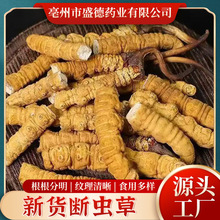 ���l�˹���ժҰ�����x����؛�Ҝ��ݾ�̎�����x�Ĳ�Դ�S�F؛��Ȼ