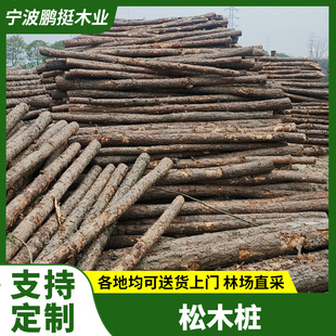 ��ľ����ӵ���ľ�G��ɼ��ľ֧�ΗU���B��ػ���Ƥ����ľ�Aľ��