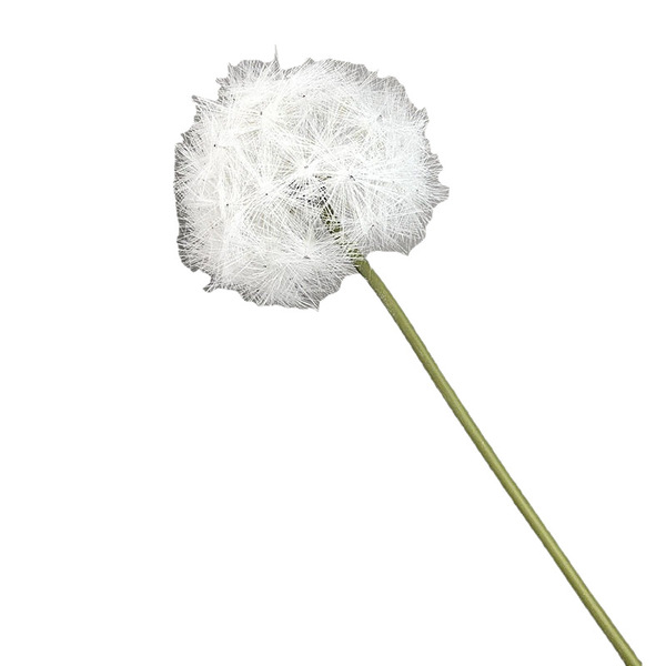 Nordic Simple Simulation Dandelion Home Living Room silk Flower…