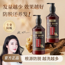 丽泉特生姜王防脱洗发水控油防脱固发洗发露草本控油蓬松洗发液女