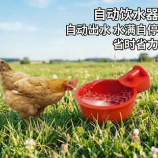 �u���Z�Ԅ�ˮ���ˮ��ˮ�M����ʡ�rʡ���B�u�Bֳ�O��ι����ˮ���B