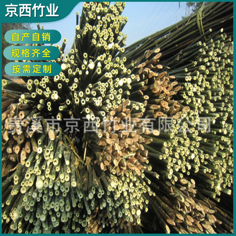 厂家供应 绑扶矮砧密植苹果树苗用4米小竹竿