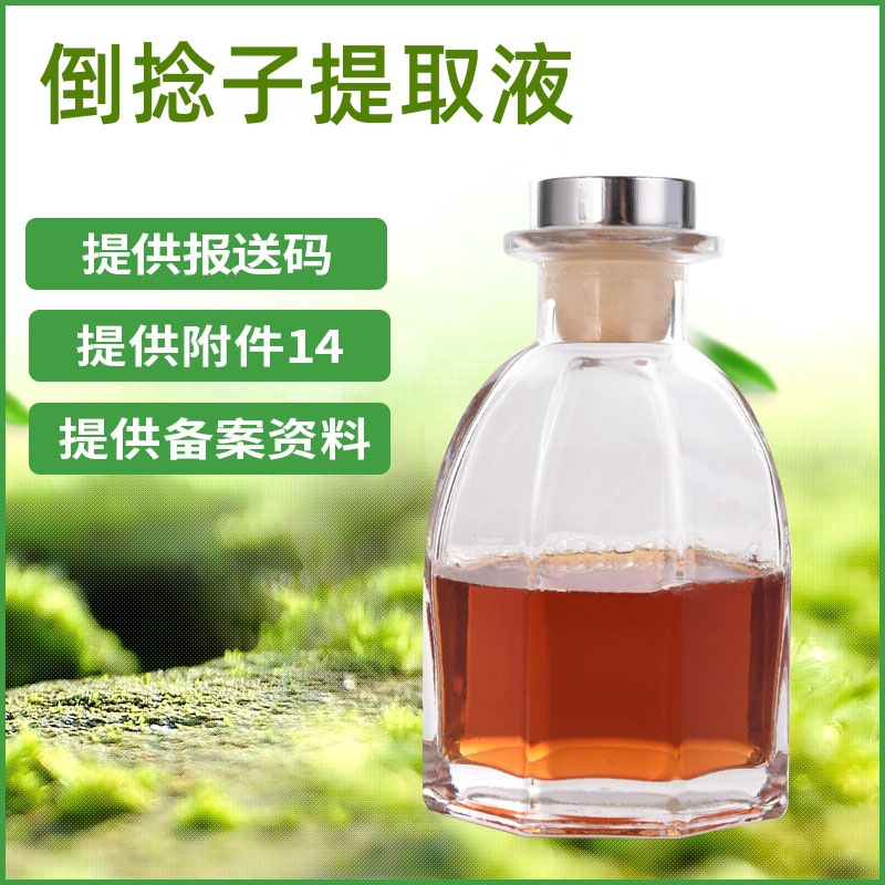 倒捻子提取液 倒捻子提取物 化妆品原料 现货供应 1KG起订
