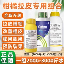 ���ل�����Ƥ�M�ϸ��ٴ�Ƥ�ޏͽ������ι���������������~���