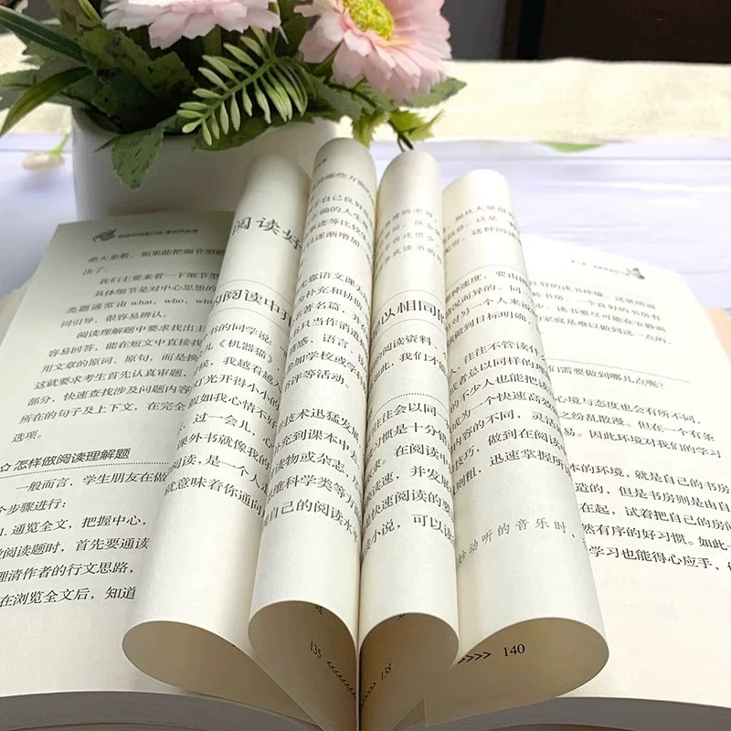 Подлинное методическое учебное пособие для первого изучения детей чтение с целью обучения методам чтения навыки