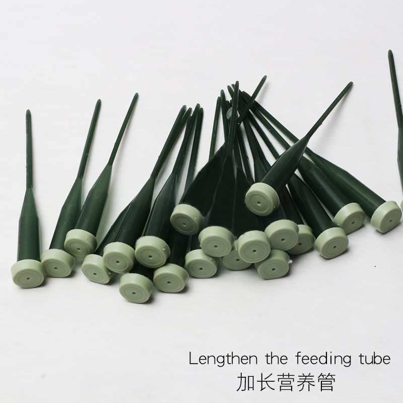 Huaxi flor fresca tubo de almacenamiento de agua alargado tubo de orquídea con palo orquídea mariposa injerto florista floral tubo de retención de agua