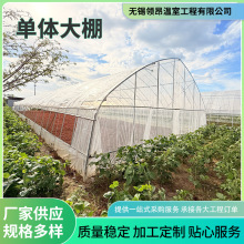 单体大棚蔬菜保温种植棚圆拱形大棚骨架防风防雨内外遮阳简易大棚