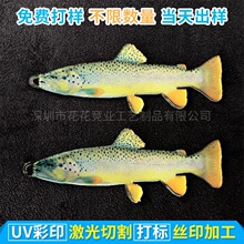 ľ�����PUV���a��ӡ�D��ľ�屳����ӡˢ���Ү��凊�L�zӡ�S��