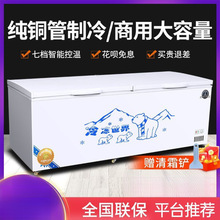 冰柜冷藏冷冻商用冷链大容量铜管卧式节能冷冻柜单温双温雪柜冰箱
