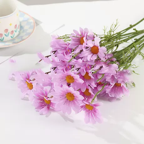 Purple daisy