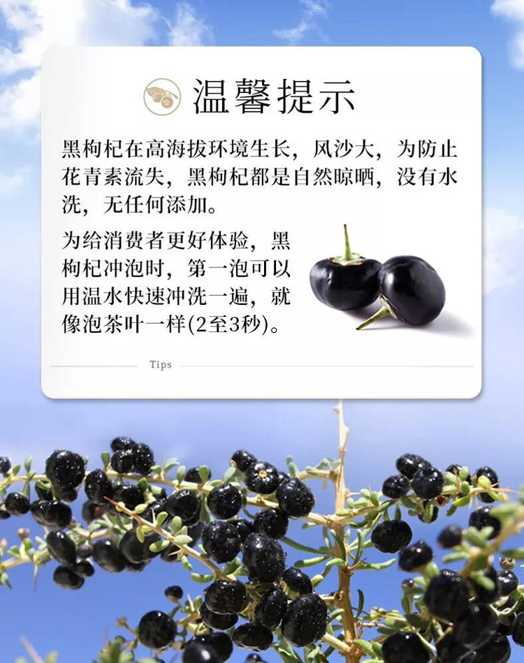 黑枸杞-组合_10