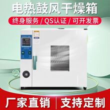 电热恒温鼓风干燥箱实验室小型烘箱食品烘干机工业材大灯烤箱跨境