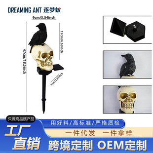 �¿�̫��ܞ��f���t����֬ͥԺ���f�}���b�Ʒ���⻨�@��ؾ��^��