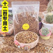 ʮ팣䷽ ¶    f ⼃wIB