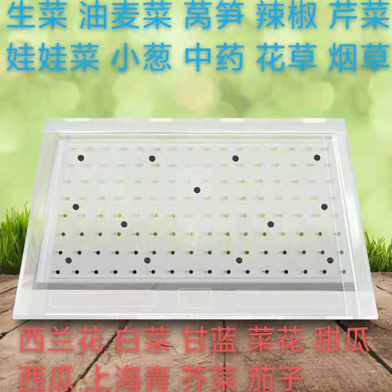 Plato de semilla, sembradora de plato de agujero, col col, brócoli, lechuga, maní, arroz de arroz, arroz de cultivo de plántulas de verduras