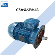 WEG�f��늙C/W21�X��/�T�F���ஐ������늄әC/��Ч�͉�IEC Motor