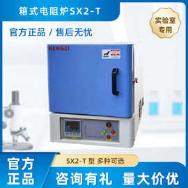 上海跃进恒字 箱式电阻炉 SX2–T 型 陶瓷纤维炉膛 厂家直销