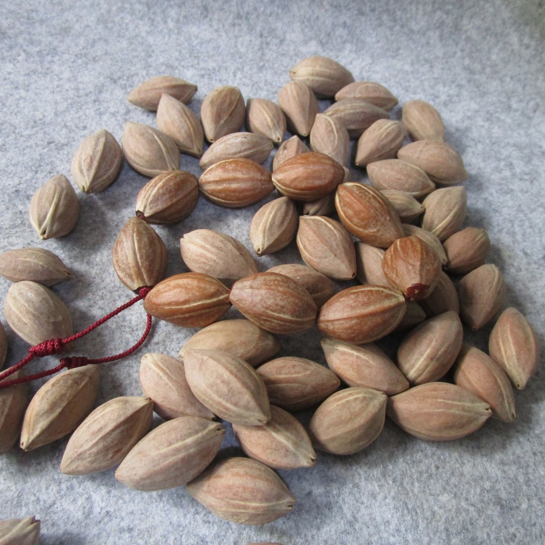 广西红油核文玩三花圆素核橄榄核原核佛头原色产地原料杂核练手料