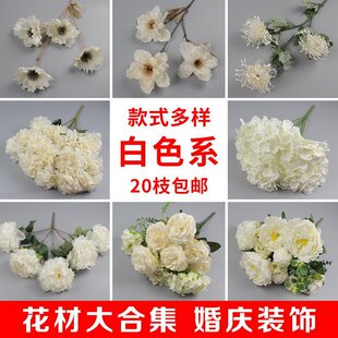 ��ɫ����c�����ѻ���Y�F�����û�Y���b廨�Ƶ�ܛ�b���