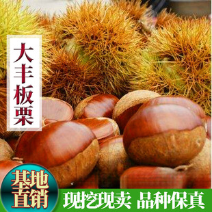 �޽���Ʒ�N���������ϱ����Nֲ���S���������Ե��Ԯ���Y��������