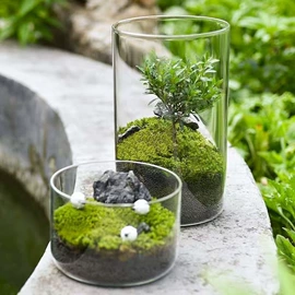 密封盒储物罐;水培植物瓶;调味盒