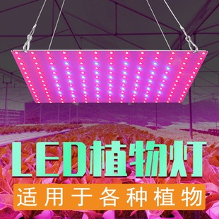 led���Ӱ�ֲ����҃ȳ���ȫ���Vֲ�����L�������������Ӱ�ֲ���