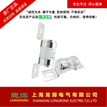 RGS4B 690V 300 RGS2-2 250V/500V��˨����ʽ�۶���  "����" Ʒ��