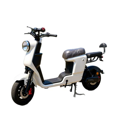 Electric Vehicle Reversing, Elektrikli motosikletlər