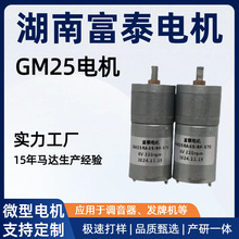 GM25微型减速电机 直流有刷 吉他调音器 机器人发牌机绕线器电机