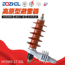 廠家銷售東舟10kV電站型避雷器HY5WS-17-50L帶脫離器硅橡膠
