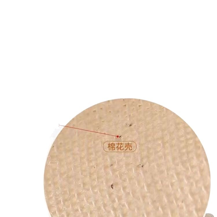 蒸馒头屉布笼布蒸包子蒸笼垫蒸笼布不粘家用食品级纯棉纱布全棉|undefined
