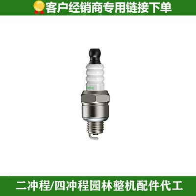 Gasoline Engine Oil – Blower - 8500-two-stroke-spark-plug