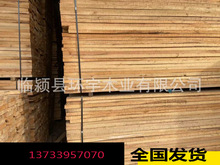 白杨木原木烘干木板材，漯河杨木原木大板，蒸汽烘干杨木木方材。