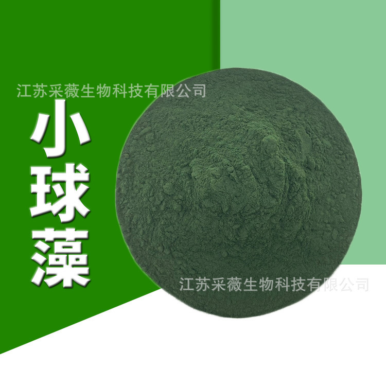 Broken Cell Wall Chlorella Powder, Protein Core Chlorella Powder, Green Algae Powder, Chlorella Extract