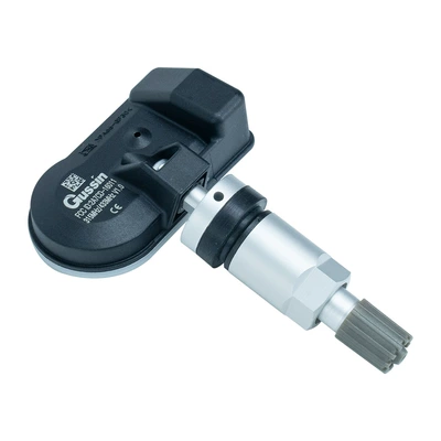 Silver Metal + Rubber, Tire pressure monitoring system