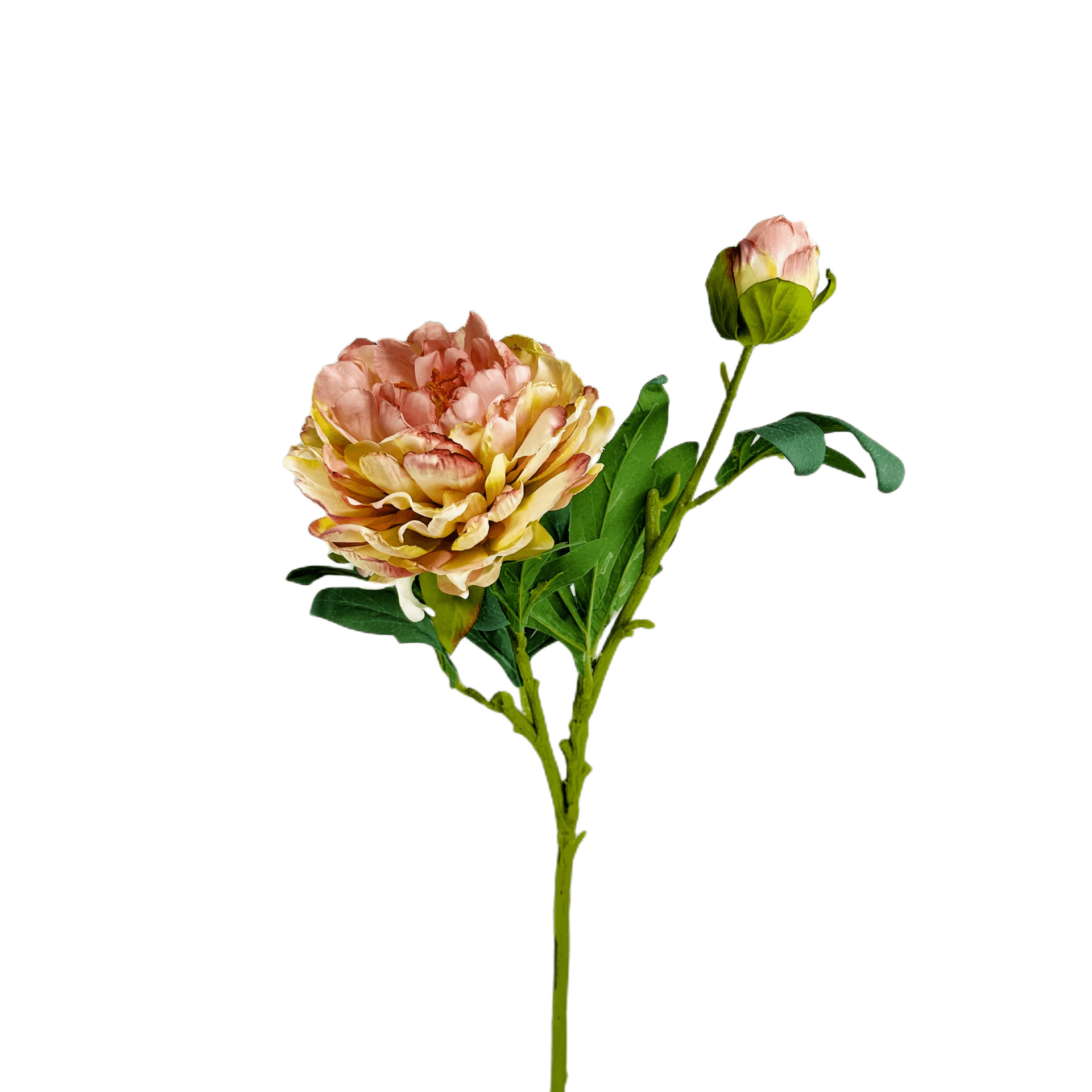 Simulación 2 cabezas de flor de peonía de borde quemado decoración de boda en el hogar decoración peonía blanca flor de seda hecha a mano decoración de flores falsas al por mayor