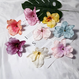 ����q�����m����diy����l�����������^��c�ҾӶY���bٻ�