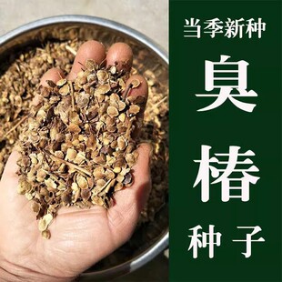 �²ɳ�������ľ�N�Ӽt���㴻�N�ӳ����N�ӆ�ľ�o�¹�ľ���֘�����