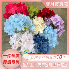 ���滨�����c����ܛ�b�廨����·�����Ų廨�����b�Ʒˇ�g