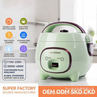 �羳���� ����110V-220V��մ��đ������� �������������l