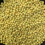 普兰西高端控释肥铁皮石斛专用控释肥紫皮铜皮缓释肥进口奥绿肥