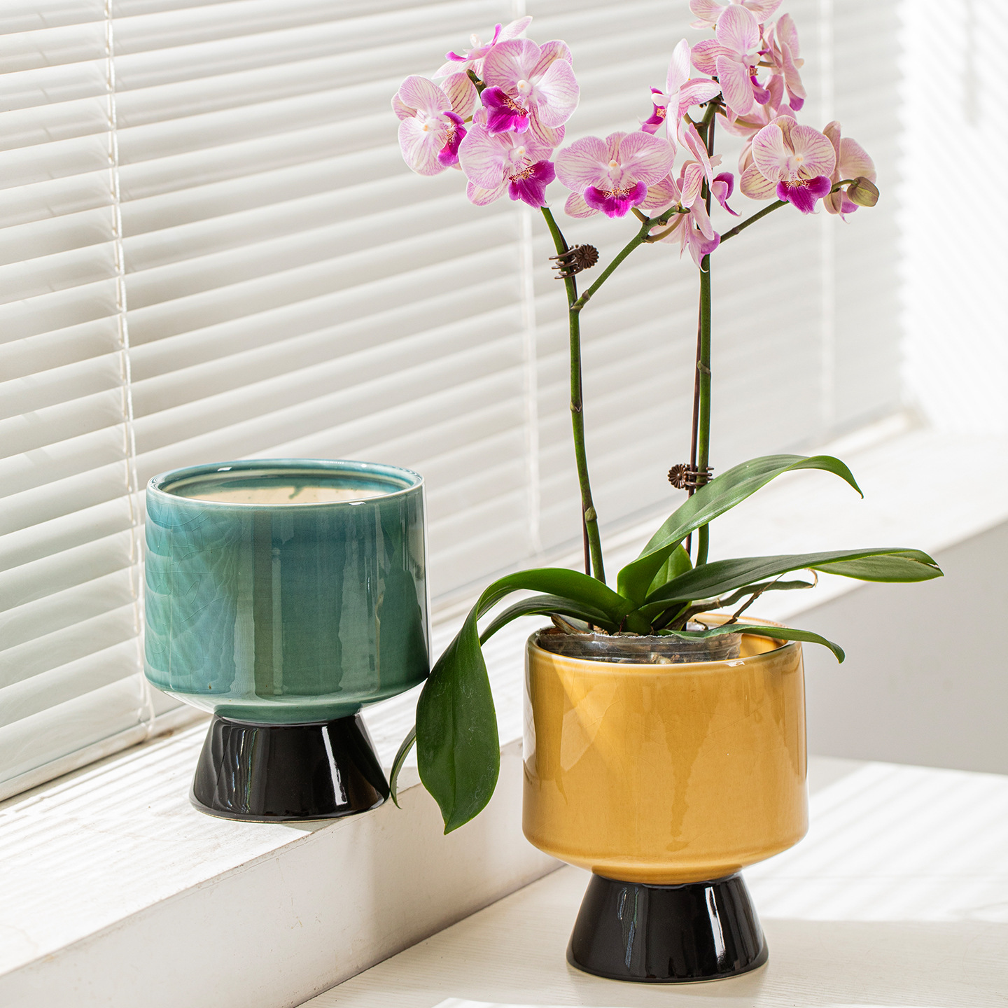 Orquídea simple mariposa de una planta cerámica ligera de lujo de alto nivel retro alto pie plantación verde interior especial maceta de flores pequeñas image 3