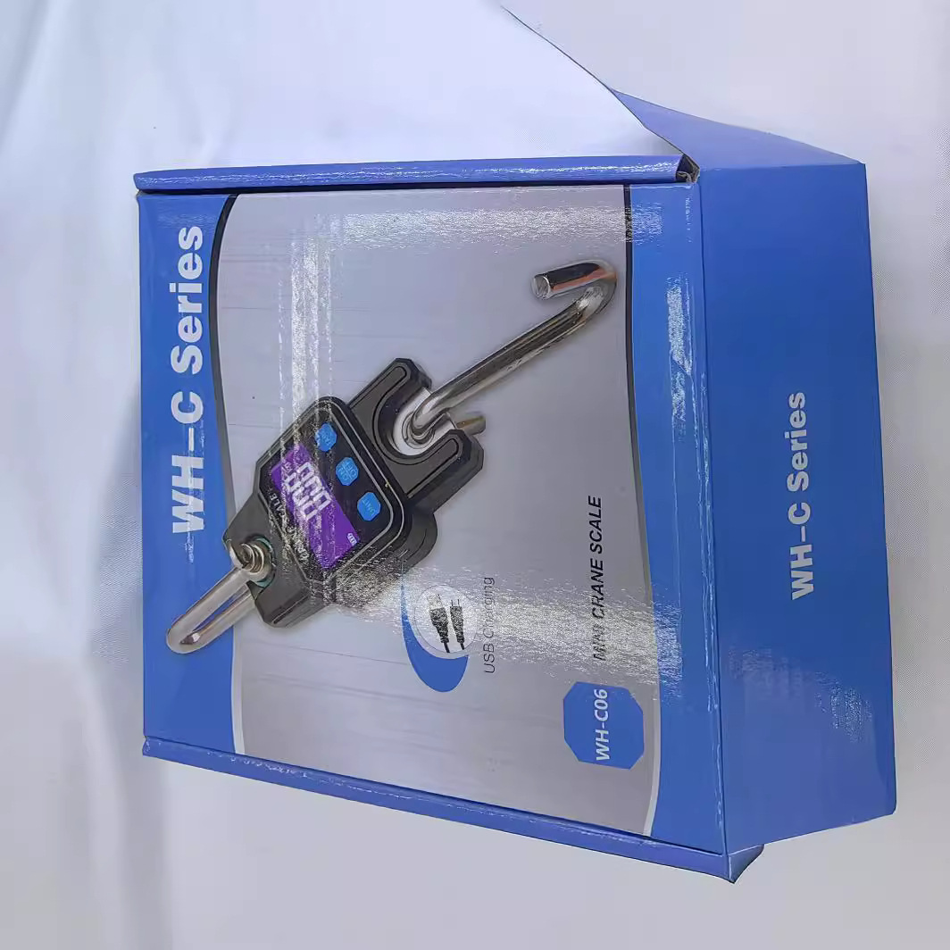 2024 nueva escala de elevación 300 kg carga escala electrónica escala expreso escala de equipaje escala especial aeropuerto