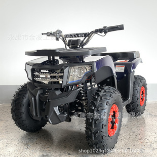 Electric Atv Children's Off-Road Motorcycle All-Terrain Four-Wheel Off-Road Vehicle 36V800W Electric Drive Variable Speed Vehicle