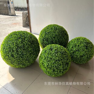 �����������S���~���m��ҾӾƵ��̈������������w�ړ��b�