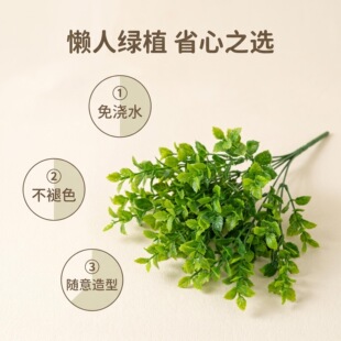 ���污�ɲݰ��� ����С�G�~��֧�廨��ļҾә���ֲ��b��~��