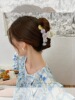 Sanrio, crab pin, cute elegant hairgrip, shark, new collection, no hair damage