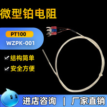 Pt100端面热电阻 微型铂电阻轴承轴瓦测温线管道软引线温度传感器