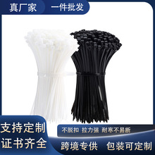 ���������S��100�l���lnylon cable ties���Qֱ�����i�������F؛